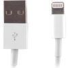 Forever Lightning USB Datu un uzlādes Kabelis 1m Balts