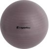 Vingrošanas bumba + sūknis inSPORTline Top Ball 85cm - Grey