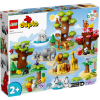 LEGO DUPLO Pasaules savvaļas dzīvnieki 10975