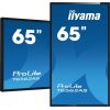 Iiyama PROLITE T6562AS-B1 - Diagonal, 64.5" - 164cm ; Panel, IPS LED, AG Coating ; Native resolution, 3840 x 2160 (8.3 MegaPixels 4K UHD) ; Aspect ratio, 16:9 ; Panel brightness, 500 cd/m² / T6562AS-B1