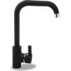 PYRAMIS 090923238 kitchen faucet Black