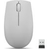 Lenovo GY51L15678 mouse Ambidextrous RF Wireless Optical 1000 DPI