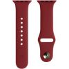 Evelatus Apple Watch 42/44/45mm Silicone Loop (140mm M/L)  Plum