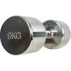 Chrome Dumbbells Proud 9 kg