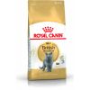 Royal Canin British Shorthair karma sucha dla kotów dorosłych rasy brytyjski krótkowłosy 0.4kg