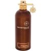 Montale Paris Aoud Forest 100ml