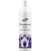 HILTON Provitamina B5 - shampoo for dogs - 250ml