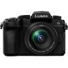 Panasonic Lumix DC-G97 + 12-60mm Kit