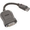 Lenovo Display Port to Single-Link DVI-D (Digital) Monitor Adapter Cable Lenovo 20 cm  m