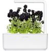 Click & Grow Smart Garden uzpilde Melnā atraitnīte 3gb.