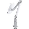 TABLET ACC DESK STAND/TABLET-D100SILVER NEWSTAR