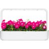 Click & Grow Smart Garden refill Pink Petunia 3pcs