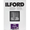 1x100 Ilford MG RC DL 44M   9x13