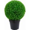 Zaļš augs BOXWOOD, H60cm, melns  s