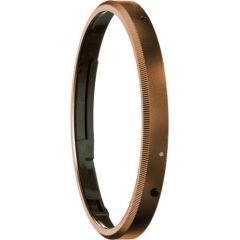 Ricoh GN-2 Ring Cap, bronze