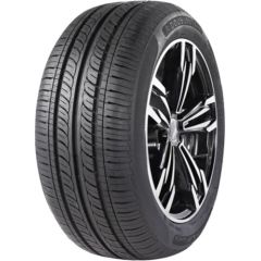 Double Star DOUBLESTAR DH05 195/65R15  91V