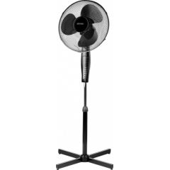 MPM MWP-19/C Stand Fan, Number of speeds 3, 50 W, Remote control, Oscillation, Diameter 42 cm, Black