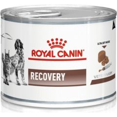 ROYAL CANIN Recovery Wet dog and cat food Mousse Poultry, Pork 195 g