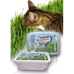 Certech 10319 pet grass seed Cat