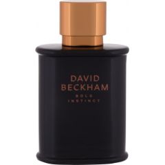 David Beckham Bold Instinct EDT 75 ml