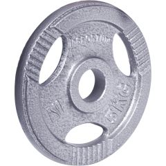 Tērauda atsvars 30mm satvērējamam 30mm inSPORTline Hamerton 5kg