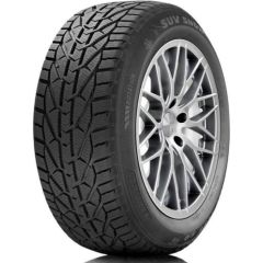 Orium Winter 205/55R17 95V