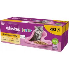 WHISKAS Junior Poultry in jelly - wet cat food - 40 x 85g