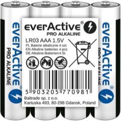 Alkaline batteries AAA / LR03 everActive Pro 4 pcs