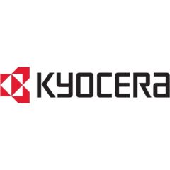 Kyocera Dangtelis PF