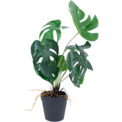 Artificial plant GREENLAND H40cm, Monstera