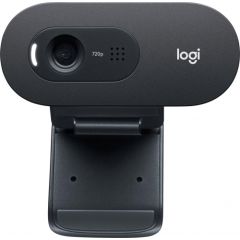 LOGITECH C505e HD Webcam Black