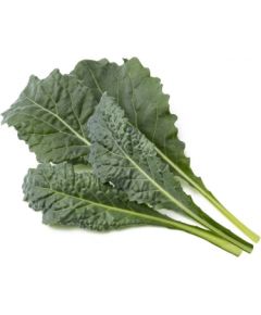 Click & Grow Smart Refill Italian Kale 3pcs