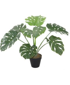 Искусственное растение MONSTERA H60см, чёрный горшок