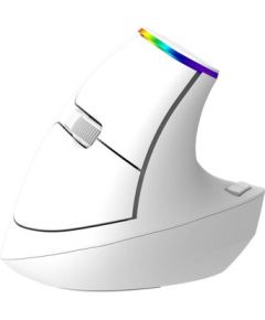 Wireless Vertical Mouse Delux M618C 2.4G 1600DPI RGB (white)