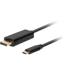 Lanberg CA-CMDP-10CU-0010-BK video cable adapter 1 m USB Type-C DisplayPort Black