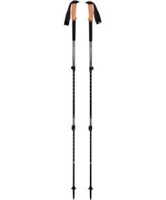 Black Diamond TRAIL CORK TREKKING POLES grey - BD1125261007ALL1