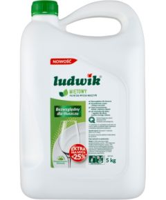 LUDWIK Dishwashing Liquid Mint 5 kg