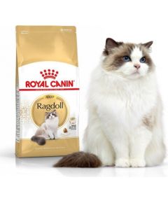 Royal Canin Ragdol Adult karma sucha dla kotów dorosłych rasy ragdoll 0.4 kg