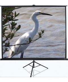 Elite Screens Tripod Series T120NWV1 Diagonal 120 ", 4:3, Viewable screen width (W) 244 cm, White