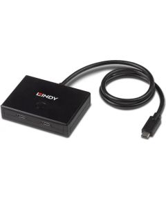Lindy 2-Port USB 3.2 Gen 1 Type C Switch - bidirectional (black, 60cm)