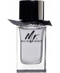 Burberry Mr. Burberry EDT 100 ml