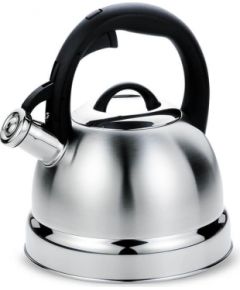 Non-electric kettle 2.9L MAESTRO MR-1329