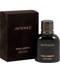 Dolce & Gabbana Intenso Pour Homme EDP 75 ml