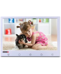 Provision PR-IPS10P-W ~ 10" TFT auto monitors PAL/NTSC DC12V