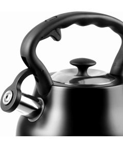 PROMIS Kettle 3.0 L, ANDREA, matt black, black handle