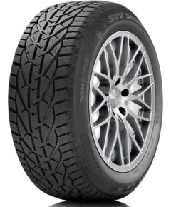 Orium Winter 225/45R17 91H