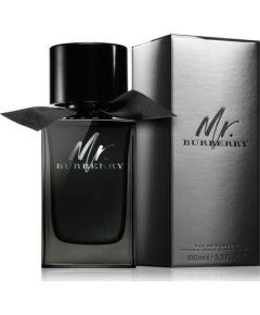 Burberry Mr. Burberry EDP 100 ml