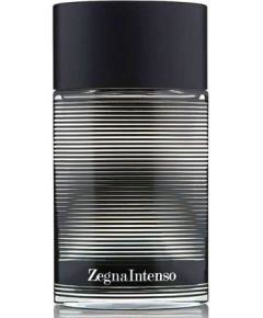 Ermenegildo Zegna Intenso EDT 100 ml