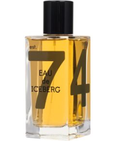 Eau de Iceberg Amber 100ml