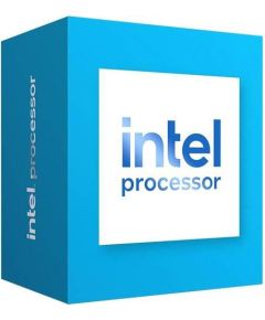 Intel CPU 300 S1700 BOX/3.9G BX80715300 S RN3J IN